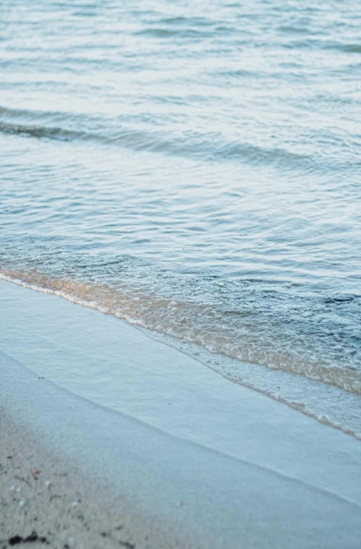 a blue bird standing on the edge of a body of water