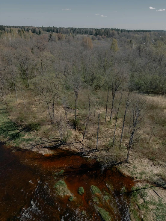 a field full of brown water surrounded by trees