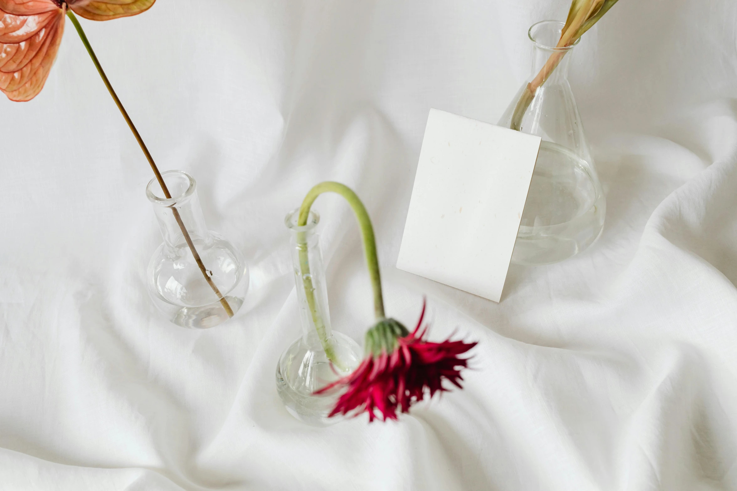 there are two glass vases with different flowers in them