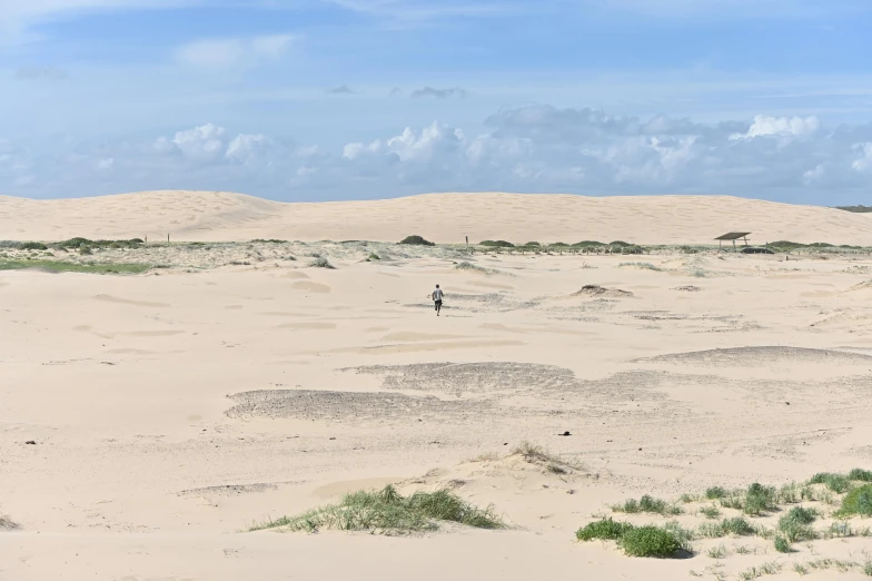 the person with the suitcase is walking through the sand