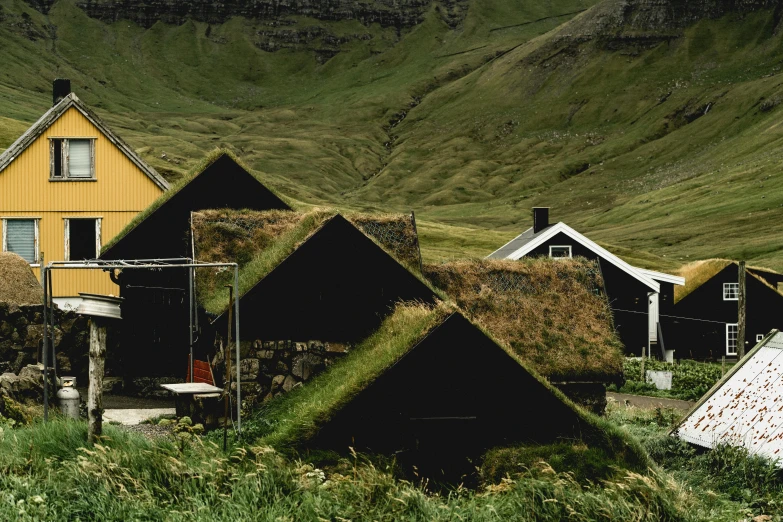 a group of houses with green roof covered in leaves