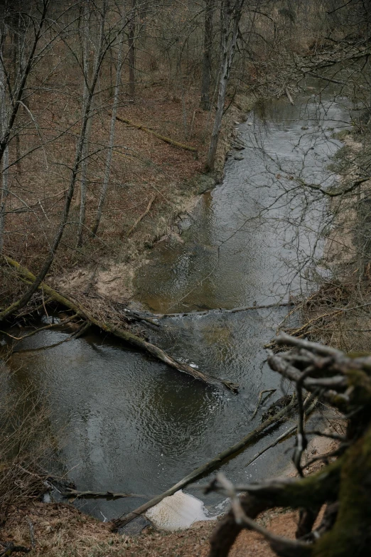 there is a river running through the woods