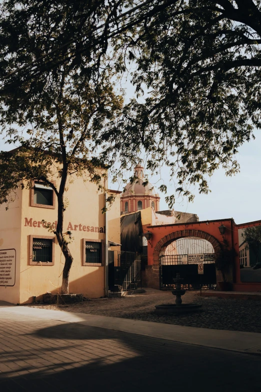 a tree is near a building with arched windows