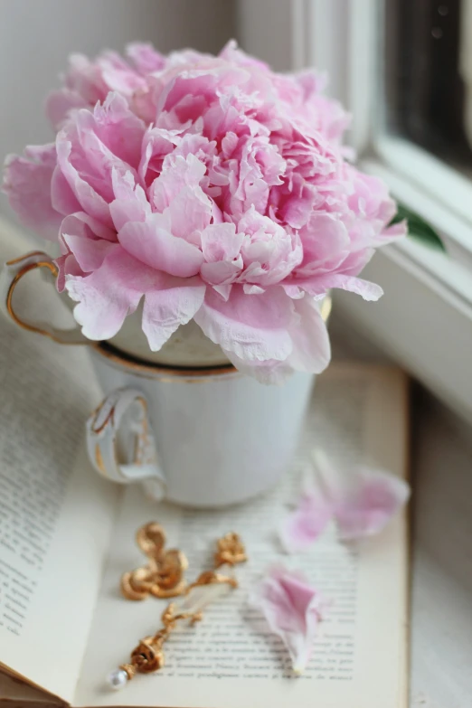 a pink flower is on the table next to an open book