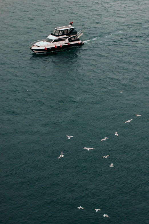 a white boat on the water with birds around it