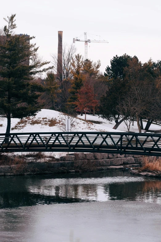 two birds perched on a bridge across a small pond