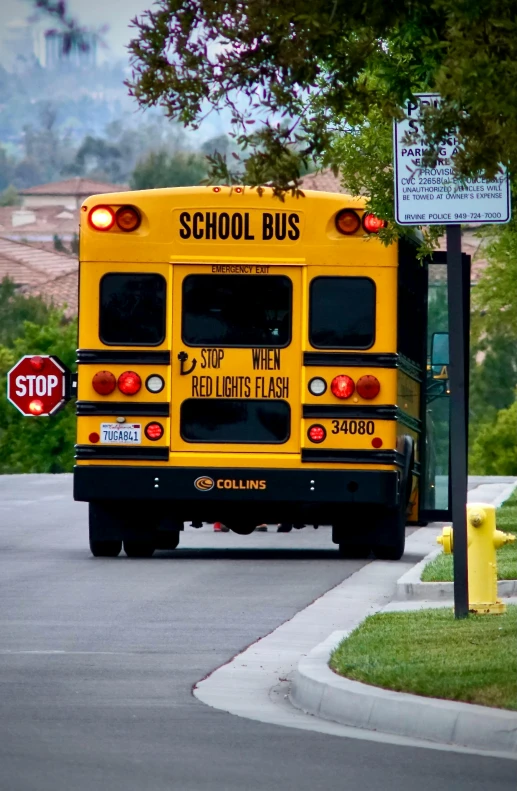 a school bus is parked along the road