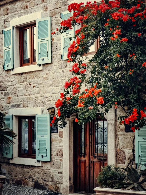 flowers and leaves on the side of a stone house