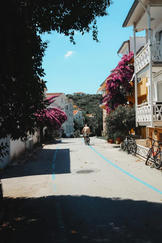 a person is walking down a street and some pink flowers