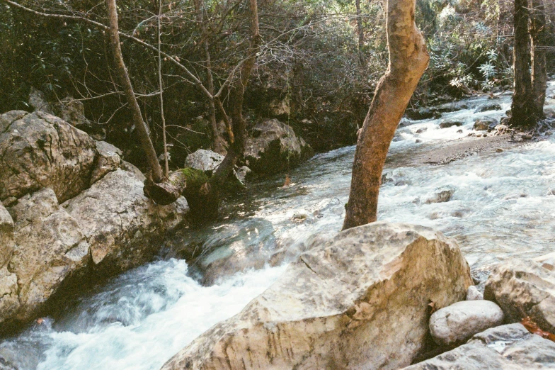 river flowing through wooded area with rocks and trees