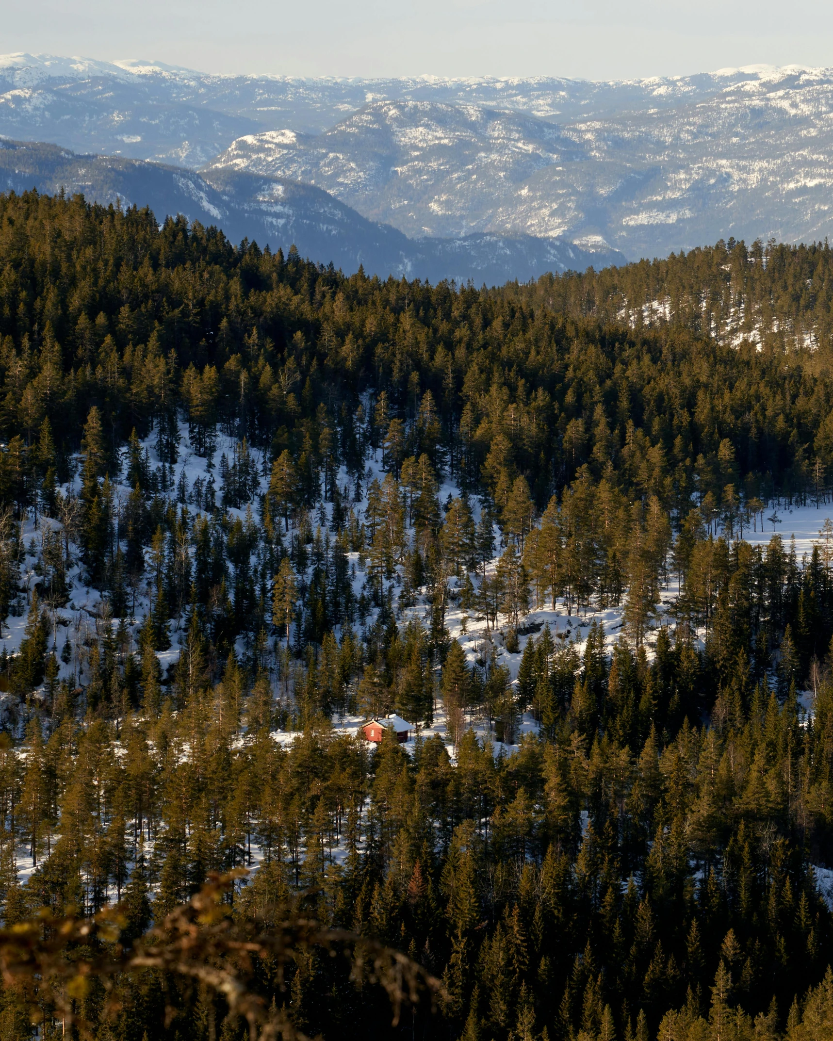 the beautiful scenery at the foot of a snowy mountain