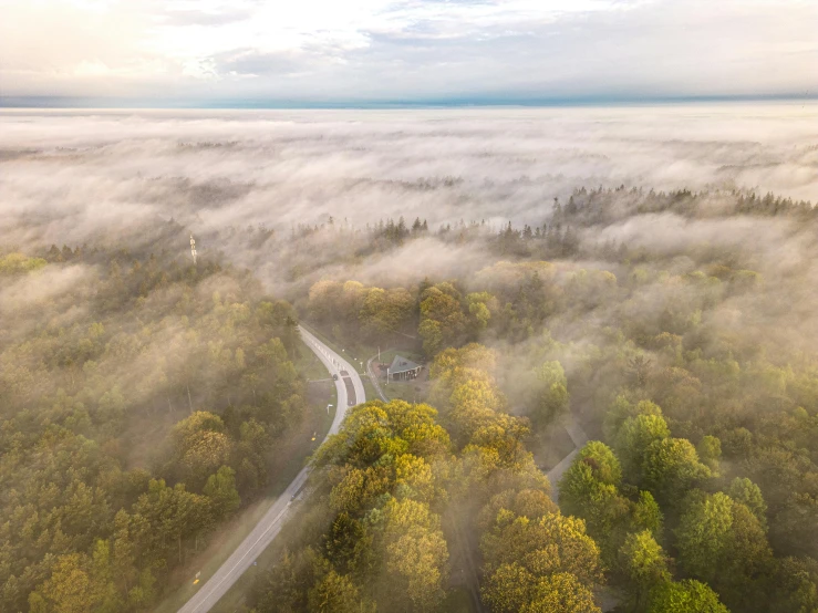 a road surrounded by fog in a forest