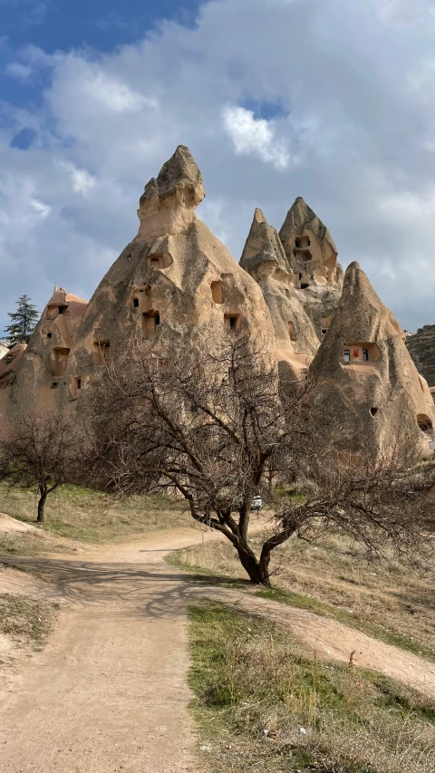 the small trees are growing in front of the rock formations