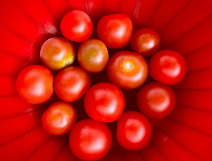 a po of tomatoes taken from above in a red dish