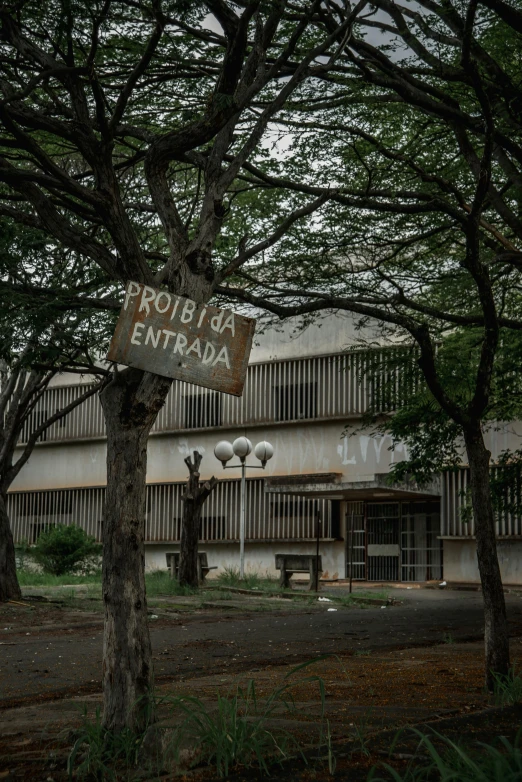 a sign sitting on the side of a tree near a building