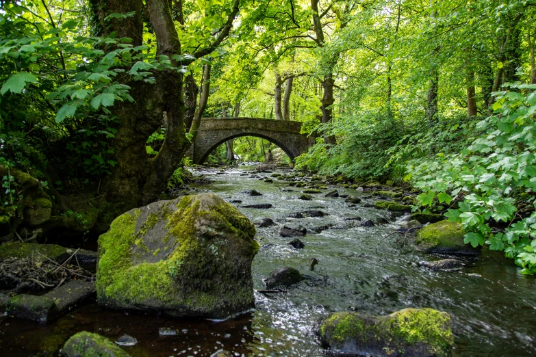 a rock sitting on the side of a river under a bridge