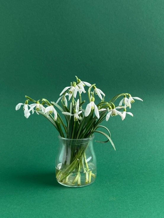 a clear vase of white flowers on a green surface