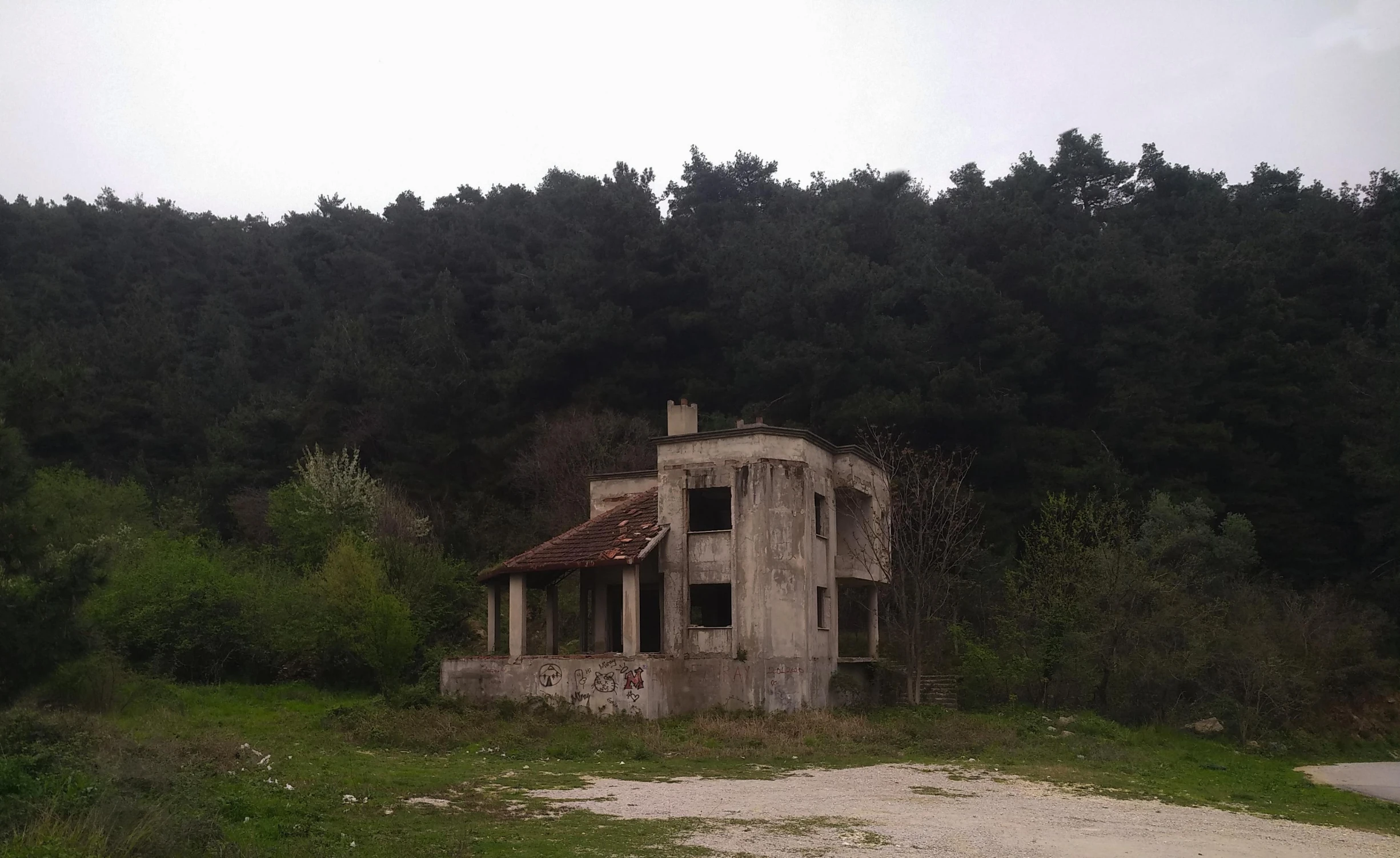 an old dilapidated house with a rusted roof and lots of green foliage