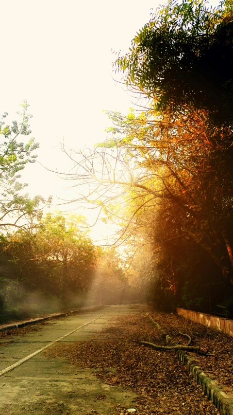 sunlight is shining on a deserted dirt road