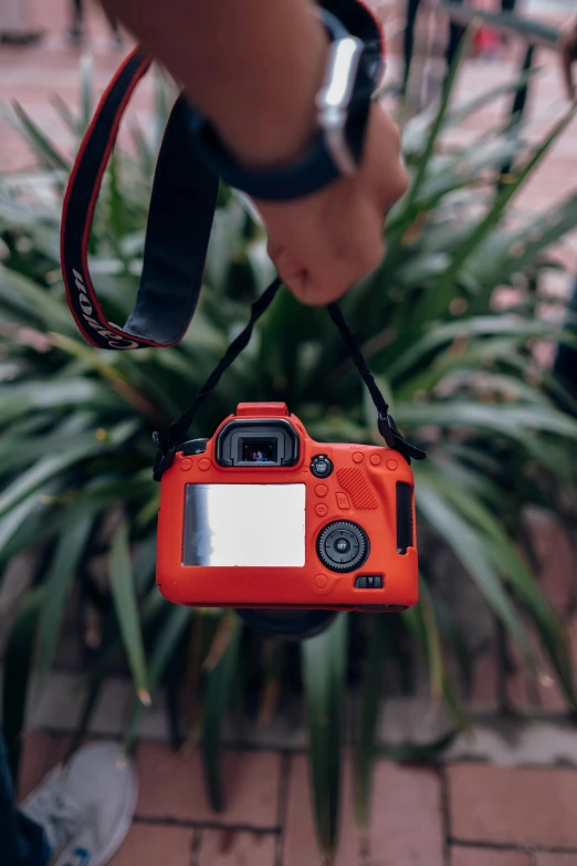 a camera held up against some plants on a brick floor