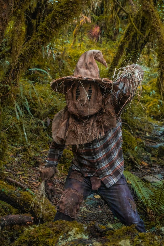 a scarecrow stands amongst the ferns in a wooded area
