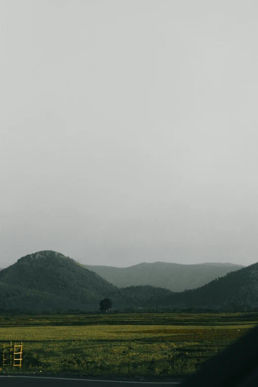 the view from a moving bus is of a field with trees and mountains in the background