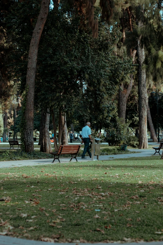 a group of people that are walking around the park