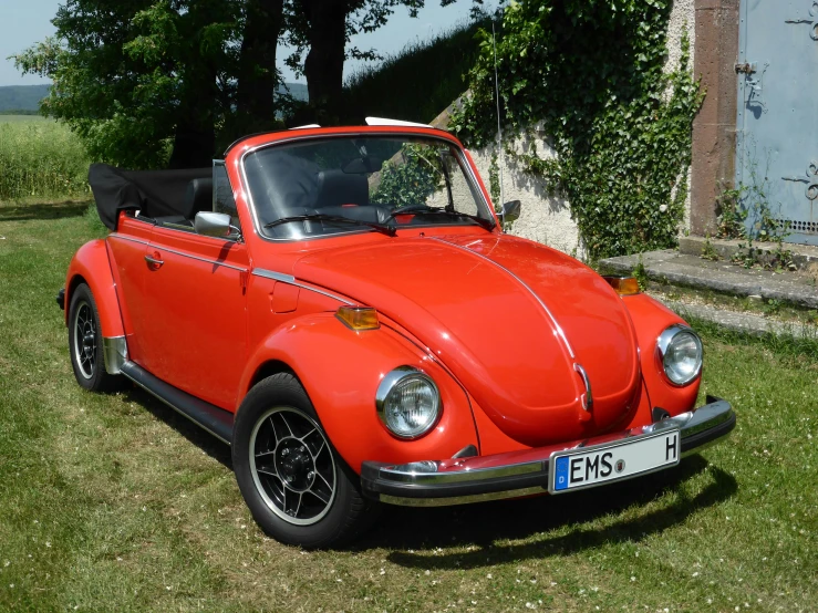 an orange volkswagen car parked on top of grass