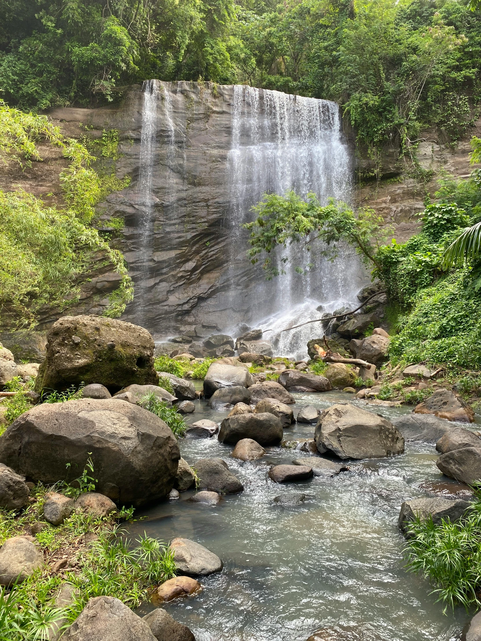 a river running through a jungle with rocks