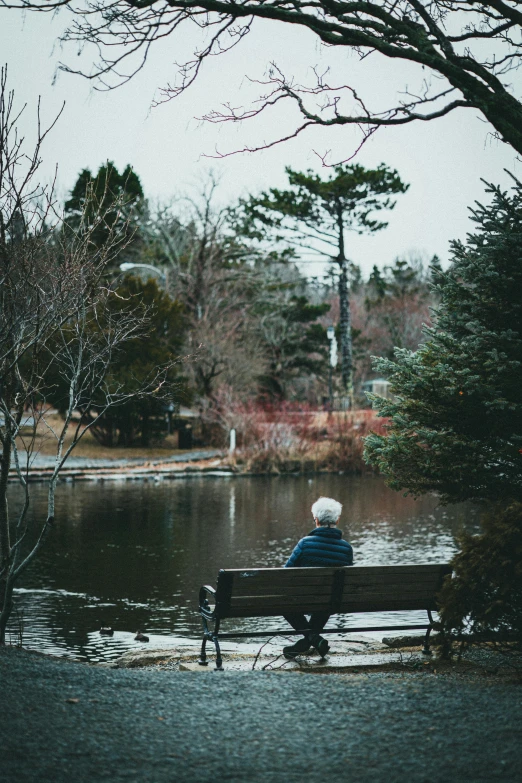 an old man sits on a park bench next to a pond