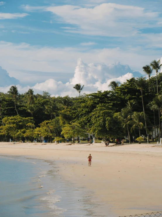 a person walking on the beach with palm trees around