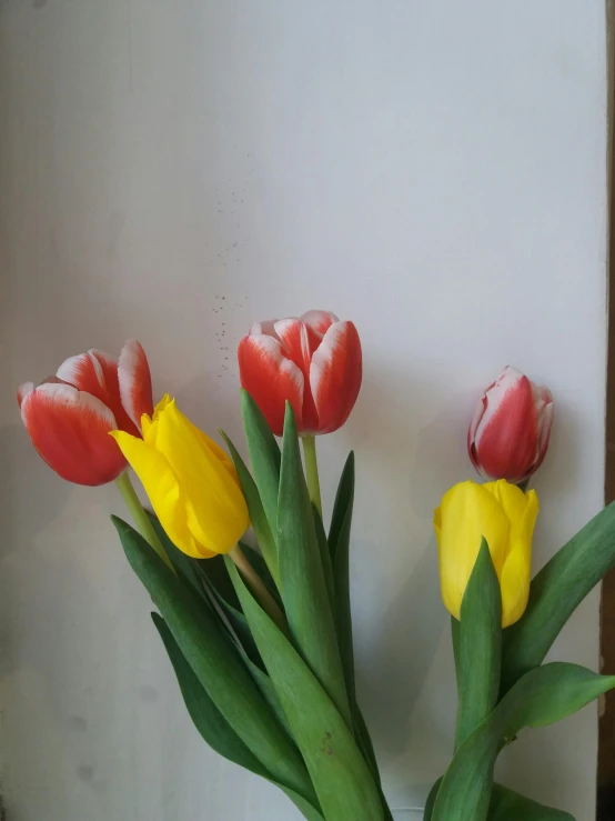 a vase filled with red and yellow flowers