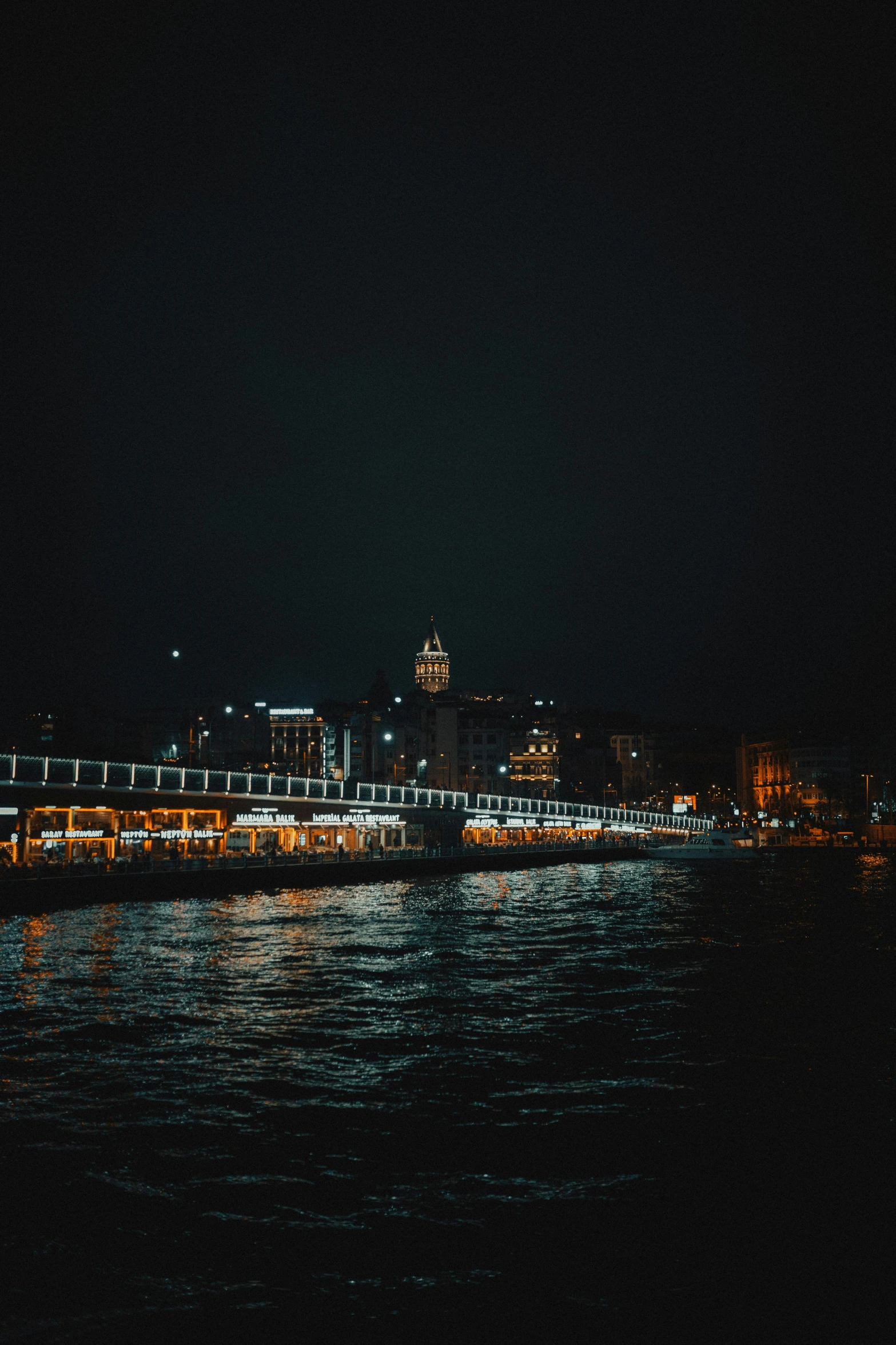 the night city in the distance from the water