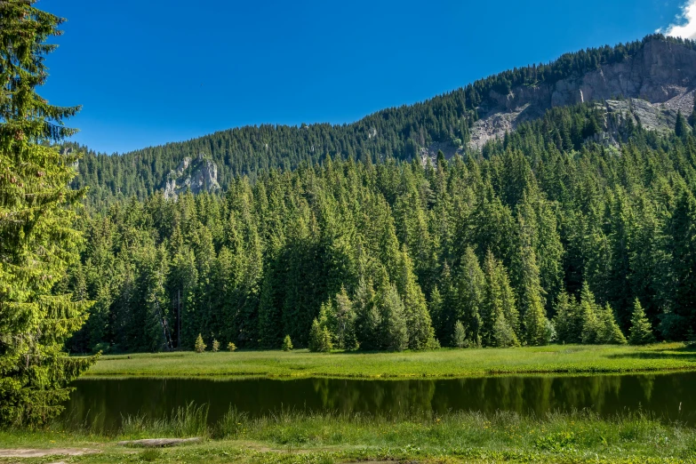 a grassy bank of some very pretty looking water