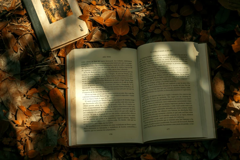 a book on leaves with an animal shadow behind it