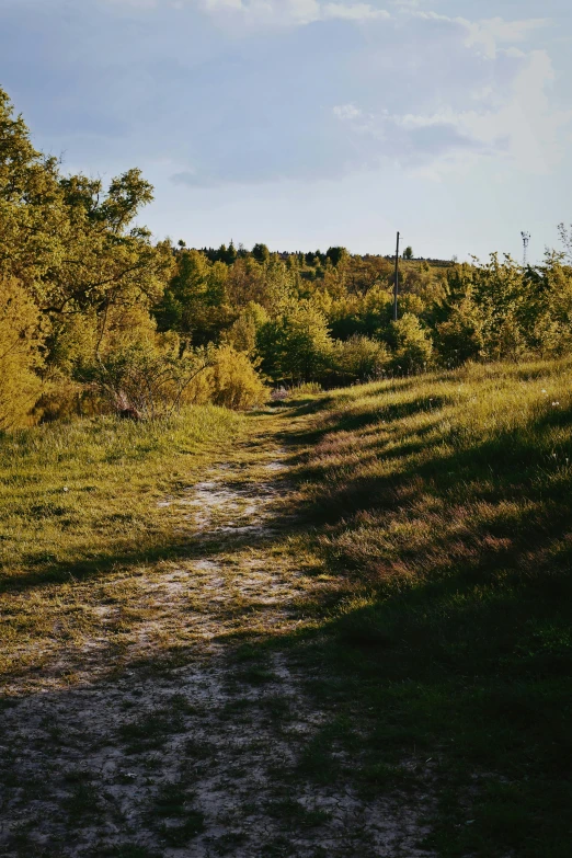 a field with dirt trail that goes up a hill and has trees lining the edge