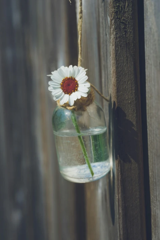an artificial flower in a hanging glass jar on a fence