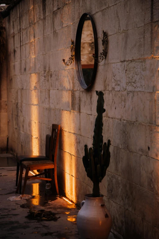 three different color vases with cactus in them beside a stone wall