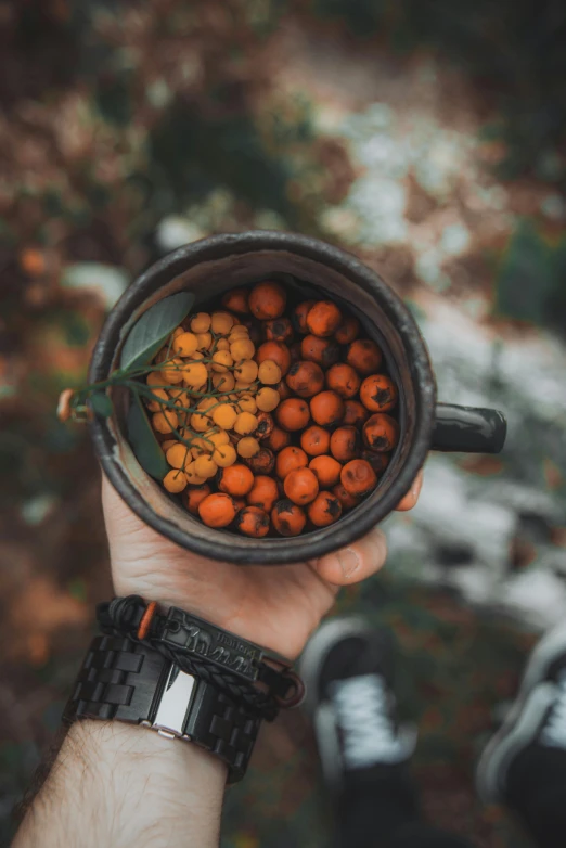 a close - up of a person holding a mug of oranges