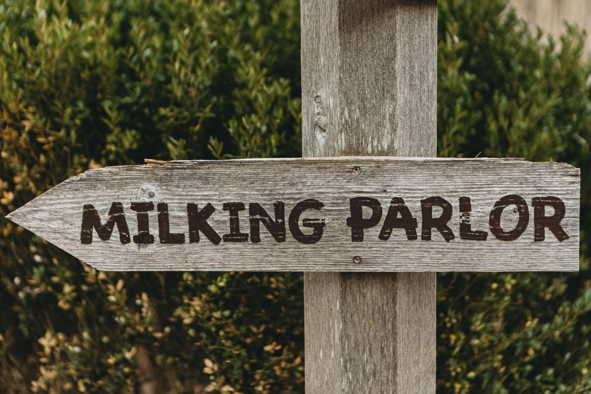 wooden sign with hiking parlor painted on it