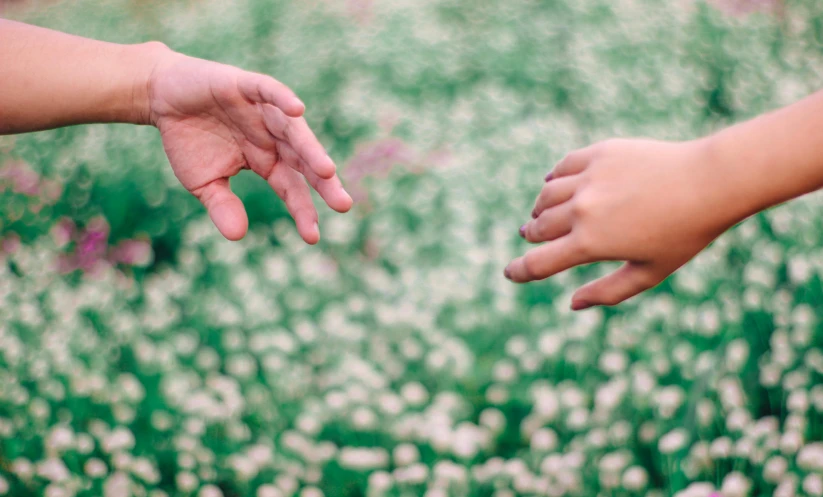 people reaching for soing with one hand and flower