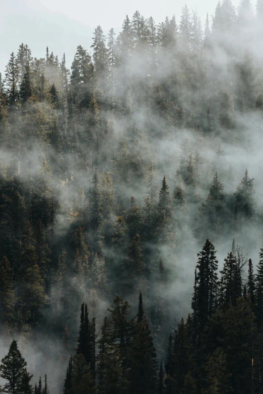 a mountain is shown filled with lots of fog