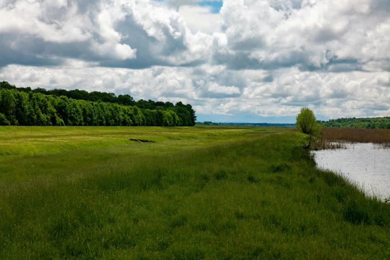 a lush green field with a small body of water and trees