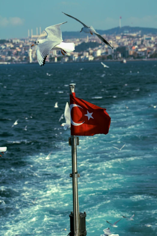 two white birds flying over the ocean and one flying above the water