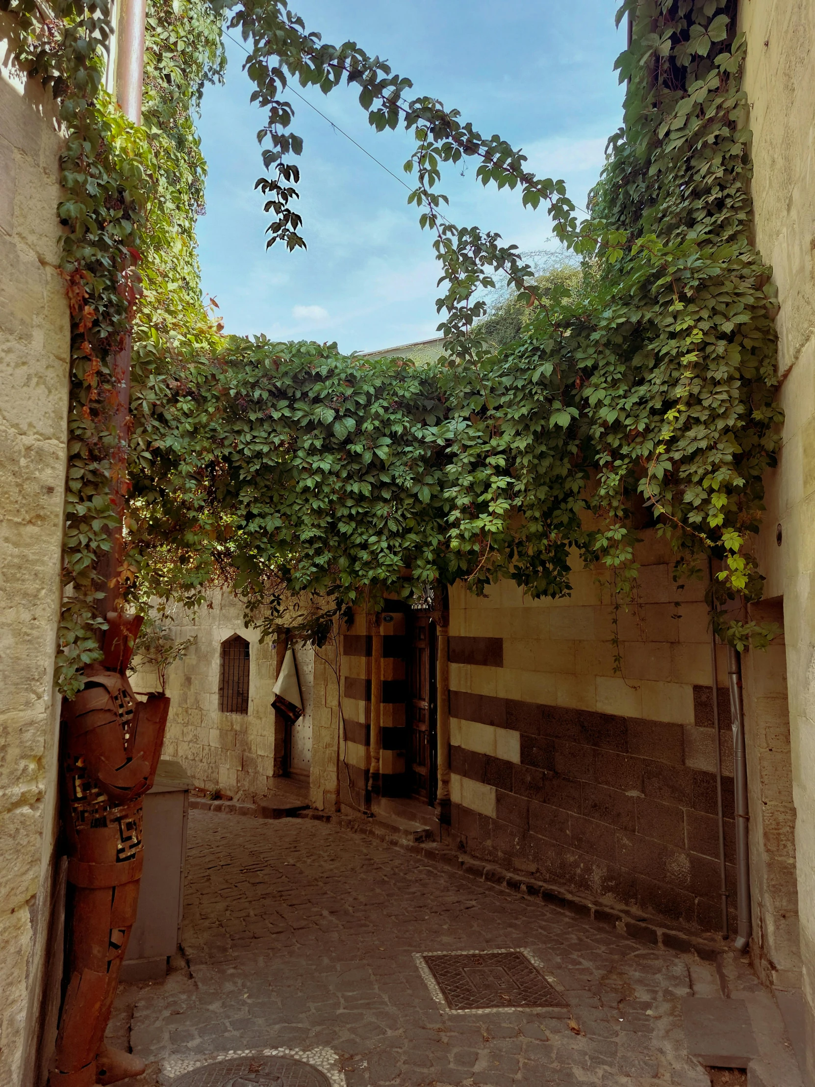 an arched entrance to a small stone building covered with a vine