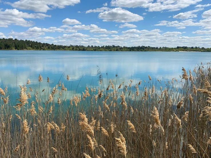 a view from the water of some blue skies and grass