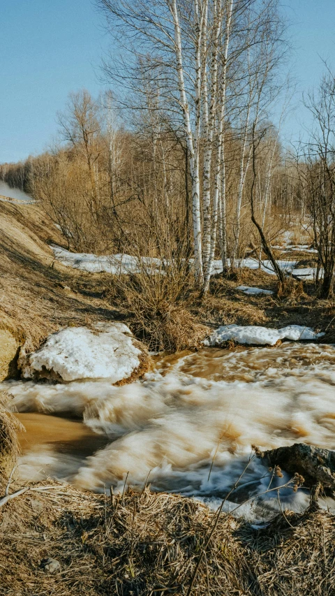 some water in some water near many trees