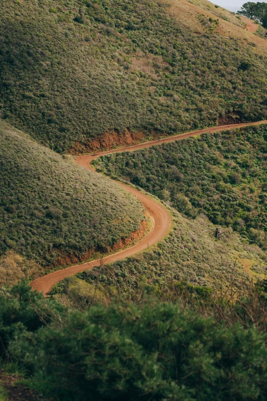 the trail leading into the hill side