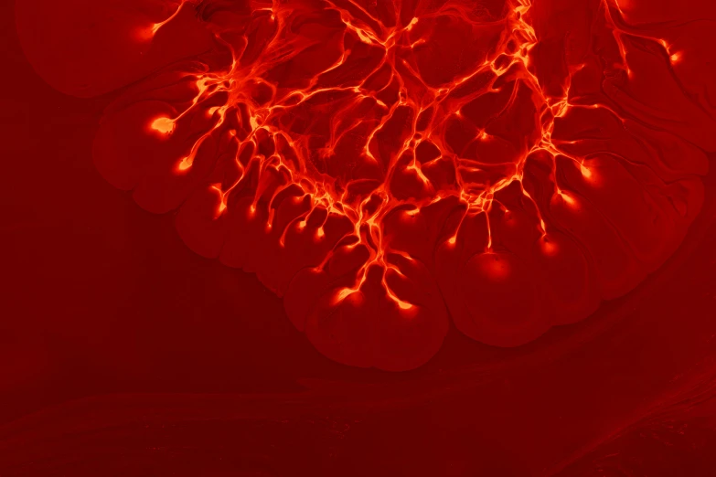 a close up of a red heart on a black background