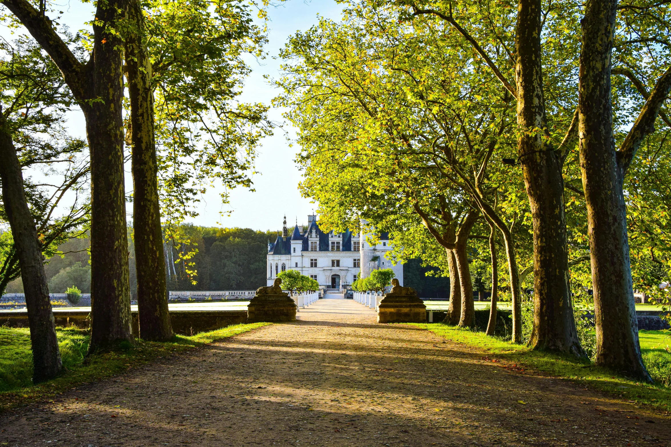 a house is surrounded by trees and grass